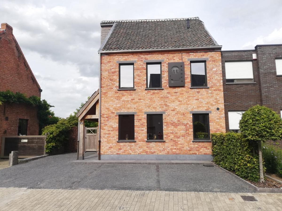 B&B Fagus Buggenhout Exteriér fotografie